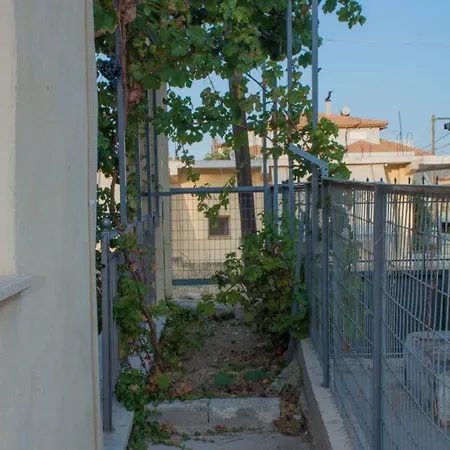 Family House