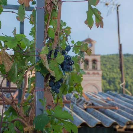 Family House Apartamento Sofiko