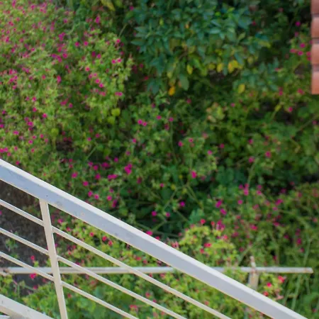 Family House Apartamento *