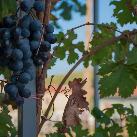 アパート Family House *