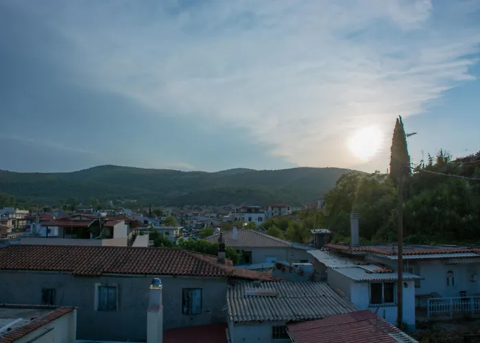 Family House Софикон